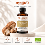 Agaricus Blazei Extracto Líquido BASIC 100 ml | Mycolife BIO