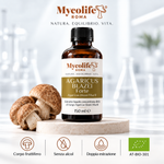 Agaricus Blazei Extracto Líquido FORTE 150 ml | Mycolife BIO