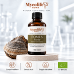 Fomes Fomentarius Flüssigextrakt FORTE 150 ml | Mycolife BIO