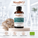 Pleurotus Ostreatus Extrait Liquide FORTE 150 ml | Mycolife BIO