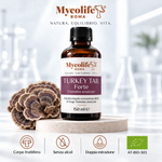Turkey Tail Flüssigextrakt FORTE 150 ml | Mycolife BIO