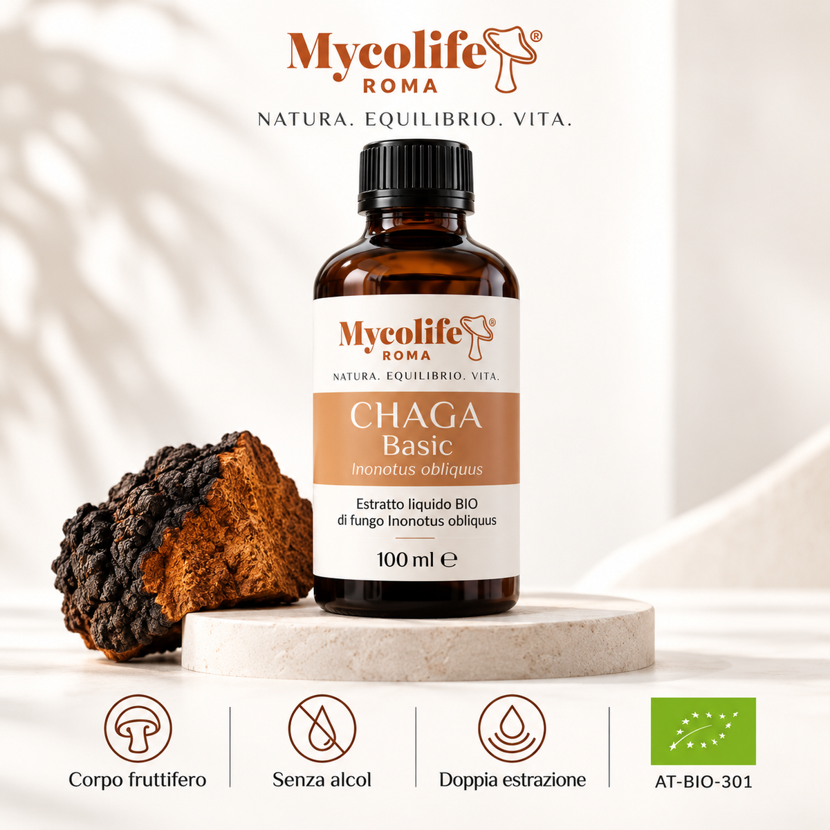 Chaga Extracto Líquido BASIC 100 ml | Mycolife BIO