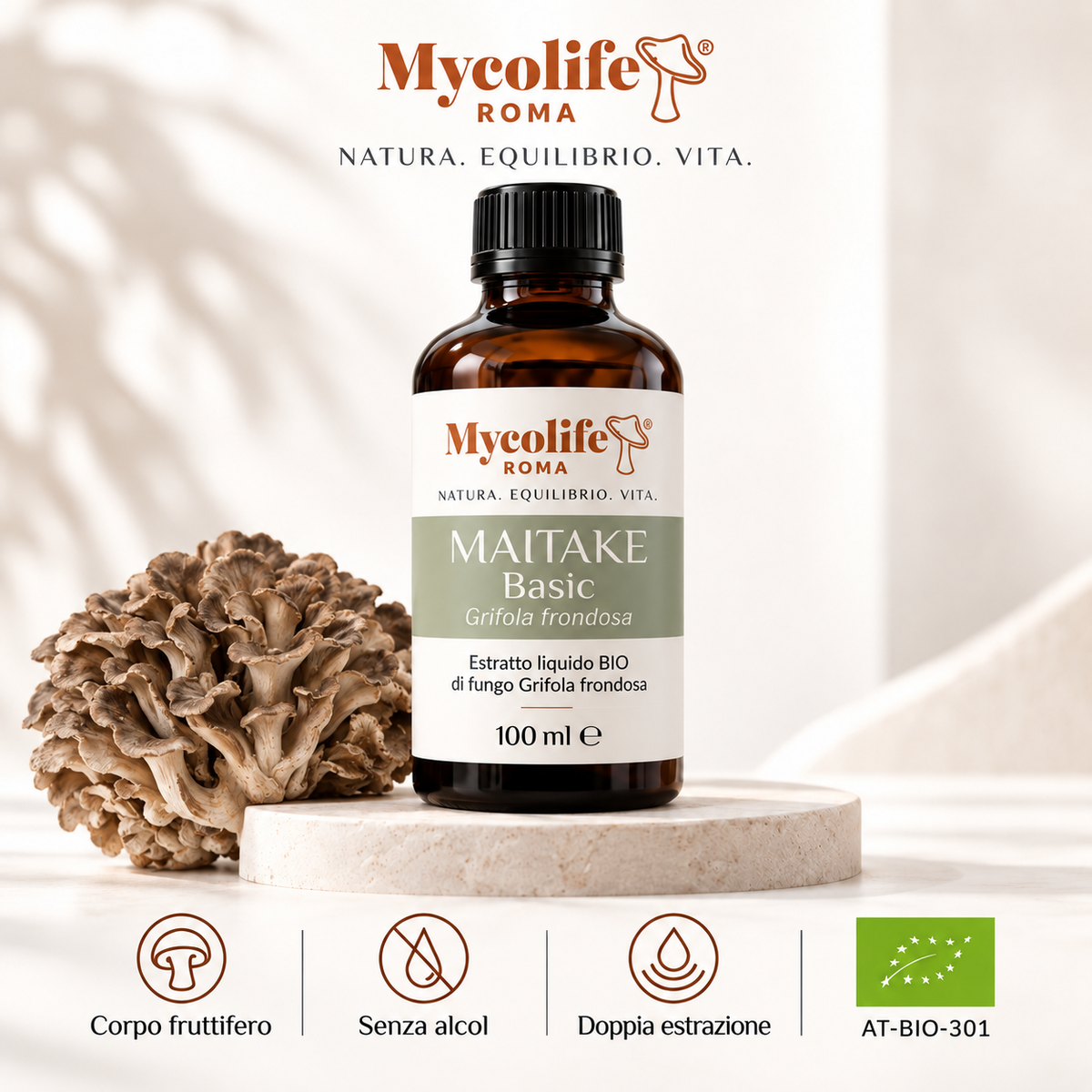 Maitake Extracto Líquido BASIC 100 ml | Mycolife BIO