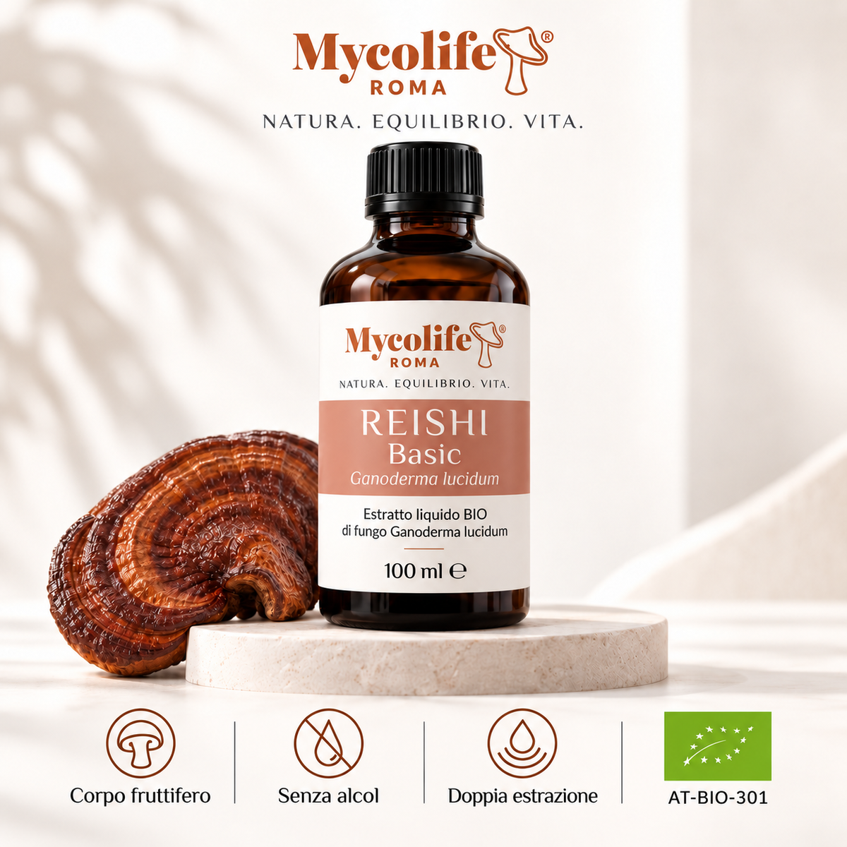 Reishi Extracto Líquido BASIC 100 ml | Mycolife BIO