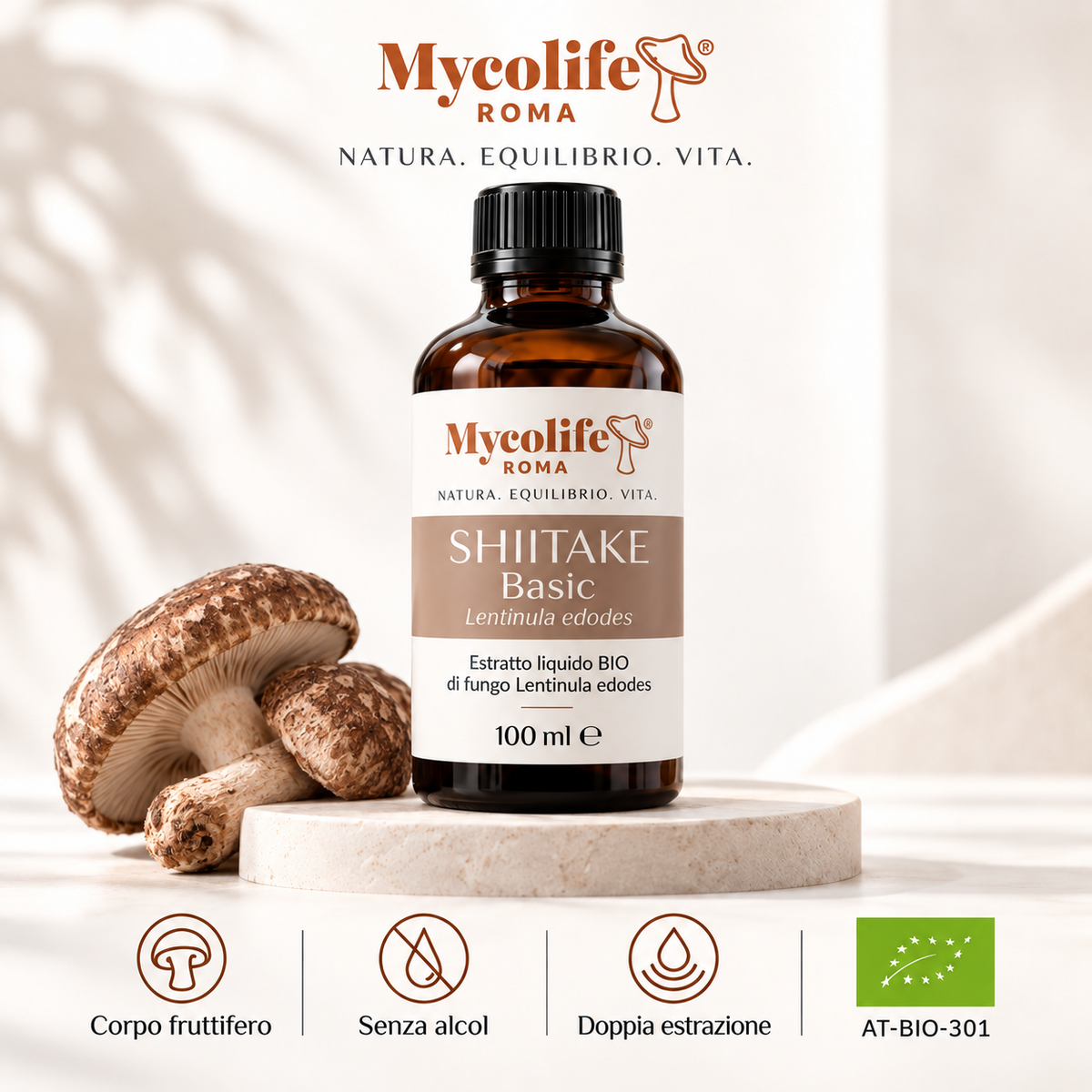 Shiitake Extracto Líquido BASIC 100 ml | Mycolife BIO
