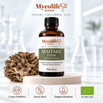 Maitake Flüssigextrakt FORTE 150 ml | Mycolife BIO