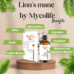 Hericium (Lion's Mane) BASIC liquid mushroom extract 100 ml – Mycolife