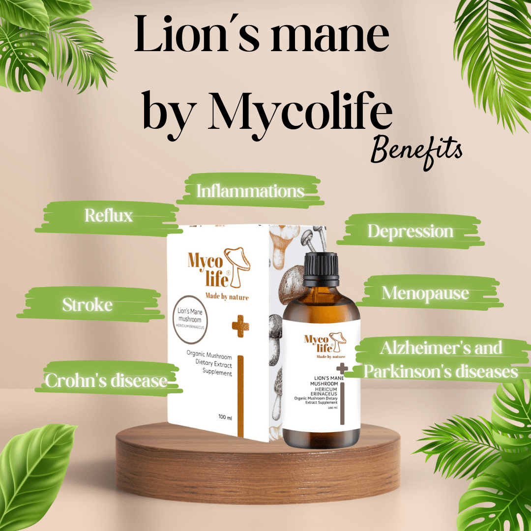 Hericium (Lion's Mane) BASIC liquid mushroom extract 100 ml – Mycolife
