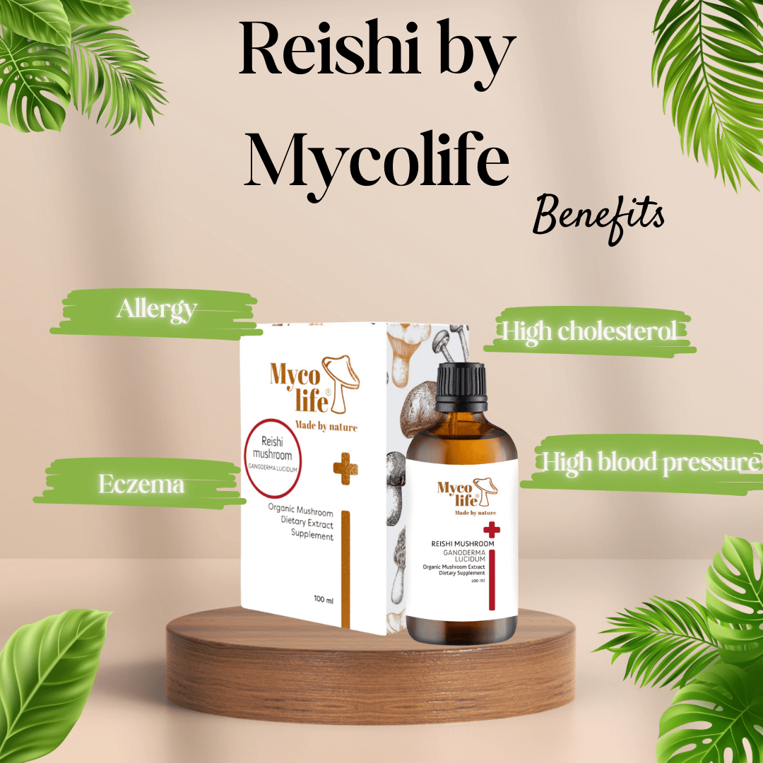 Basic Reishi Mushroom Extract - 100ml - Mycolife