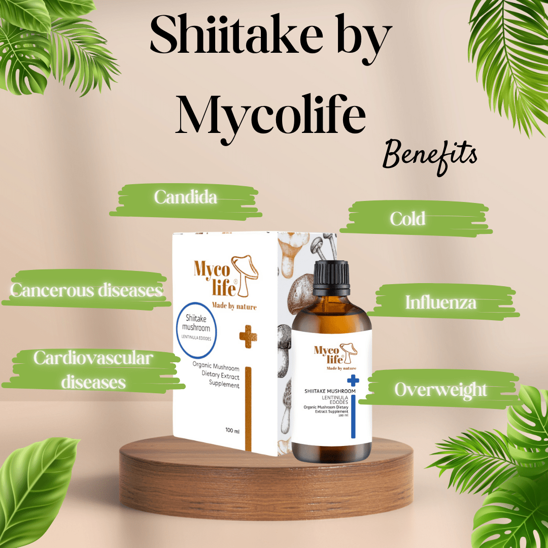 Basic Shiitake Mushroom Extract - 100ml - Mycolife
