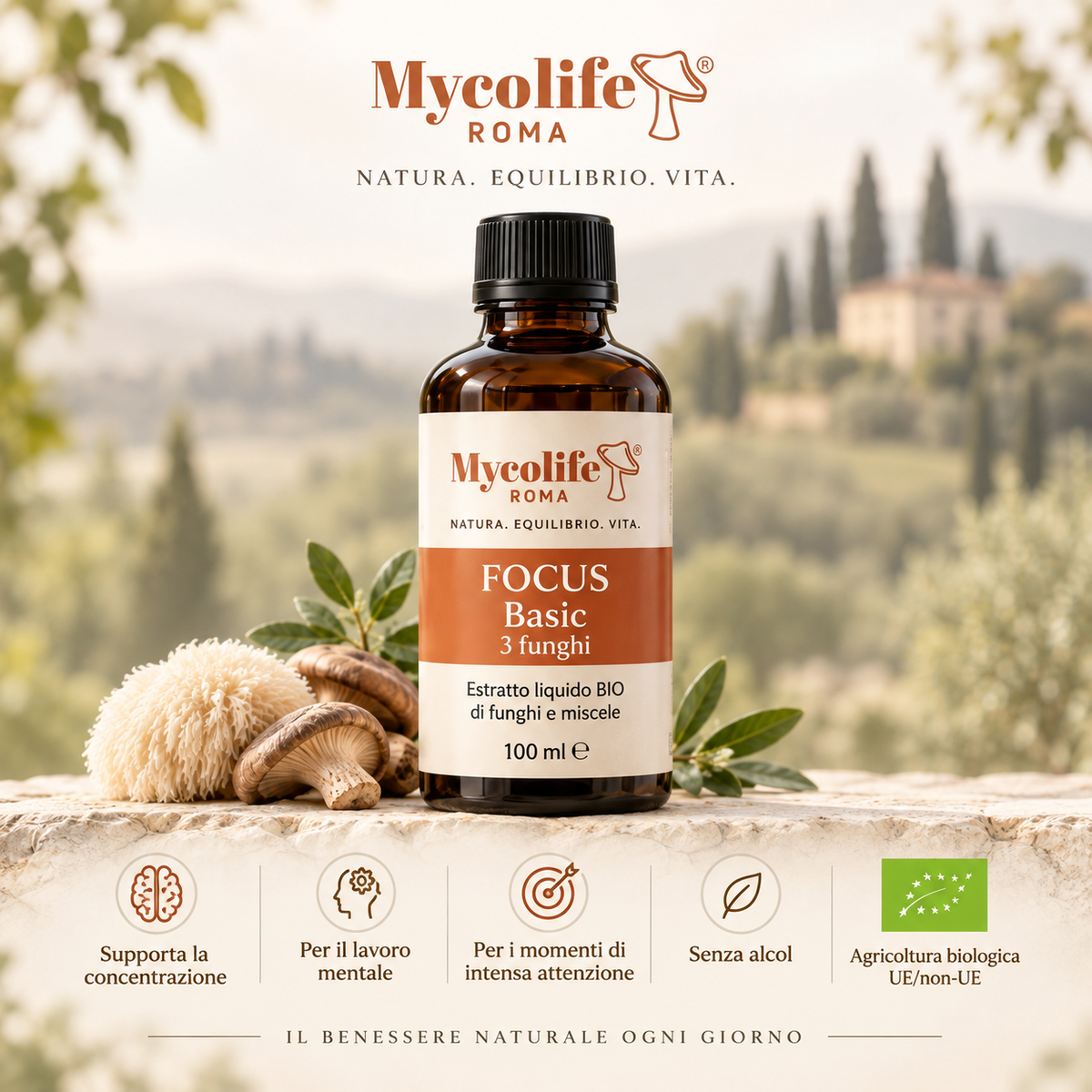 Mycolife Focus BASIC 100 ml organic liquid mushroom blend