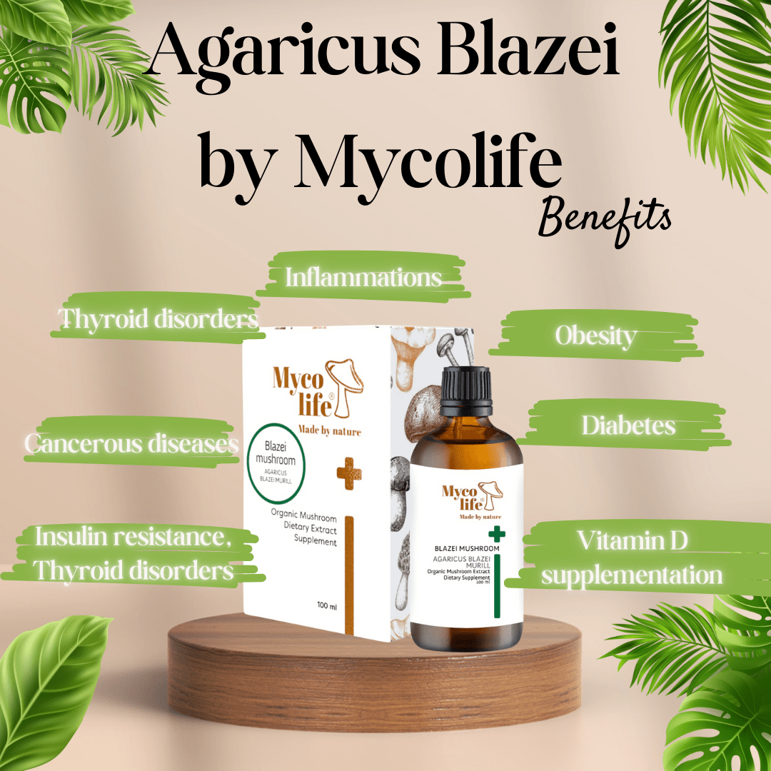 Forte Blazei Mushroom Extract - 150ml - Mycolife