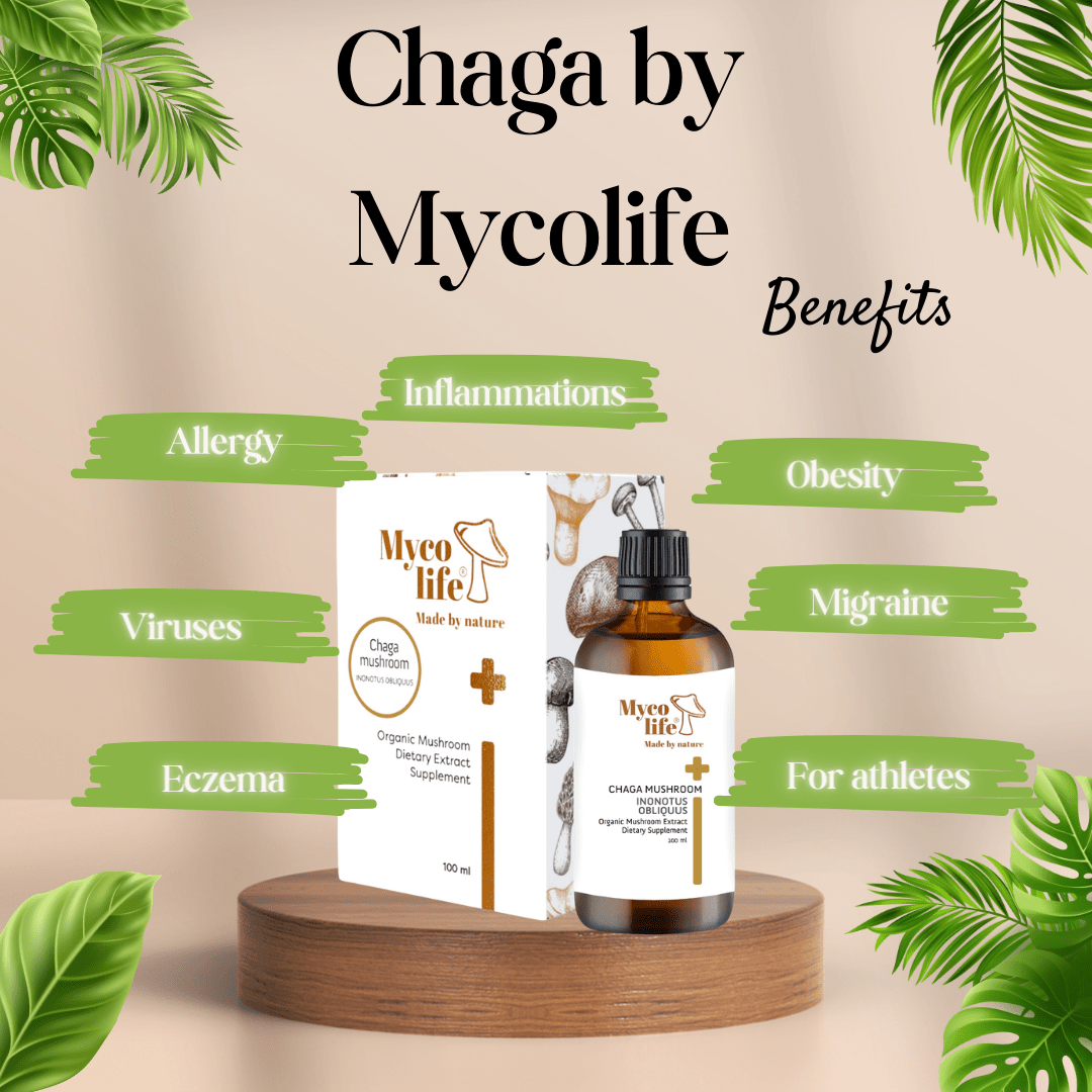 Forte Chaga Mushroom Extract - 150ml - Mycolife